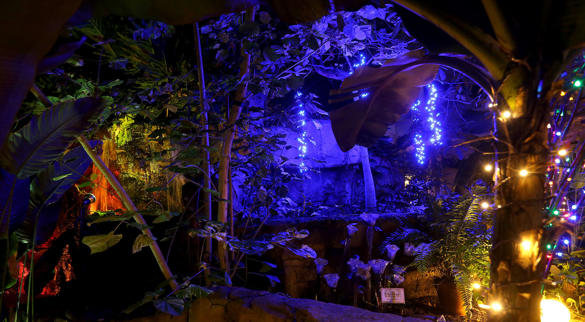 112718-botanical-lights-009